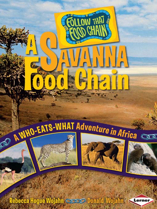 Cover image for A Savanna Food Chain